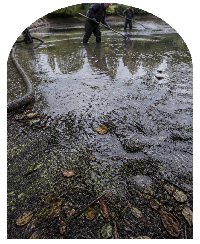 Очистка пруда в Заволжье от ила мусора и водорослей с вывозом